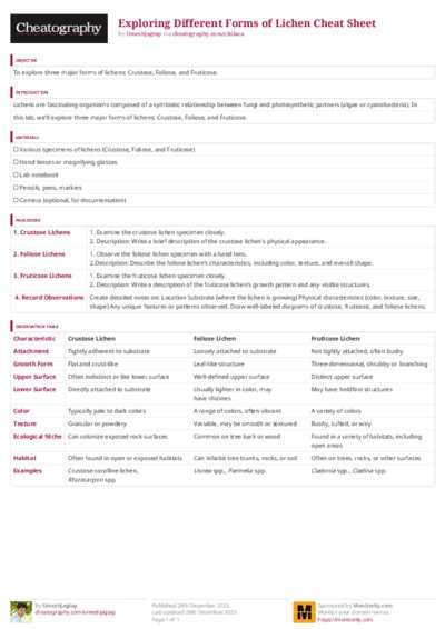 PDF (Colour) — Style 3