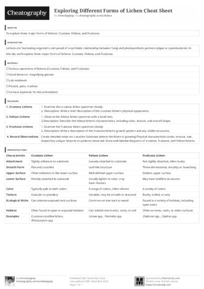 PDF (Black & white) — Style 3