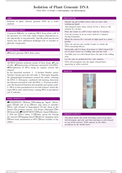 LaTeX (Compiled PDF)