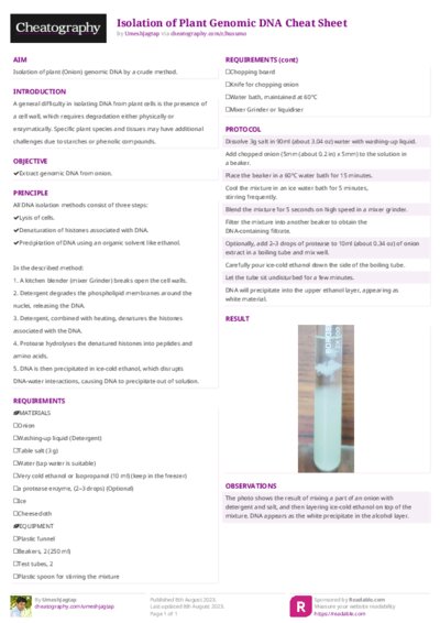PDF (Colour) — Style 2