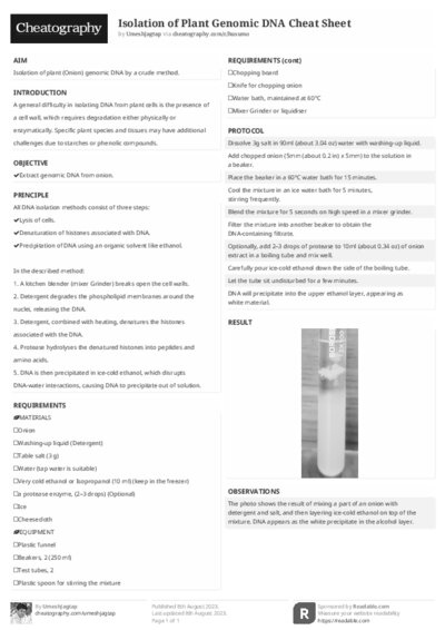 PDF (Black & white) — Style 2
