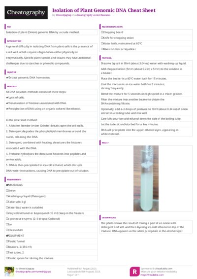 PDF (Colour) — Style 3