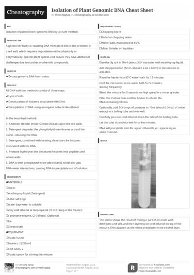 PDF (Black & white) — Style 3