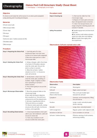 Onion Peel Cell Structure Study Cheat Sheet
