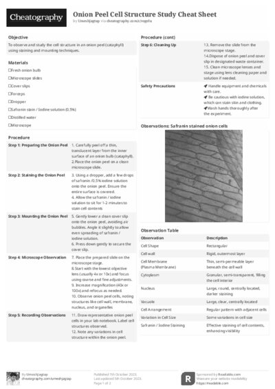 PDF (Black & white) — Style 2