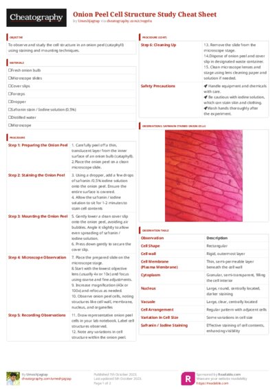 PDF (Colour) — Style 3