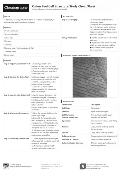 PDF (Black & white) — Style 3