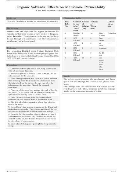 LaTeX (Compiled PDF)