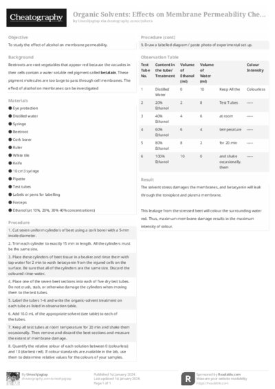 PDF (Black & white) — Style 2