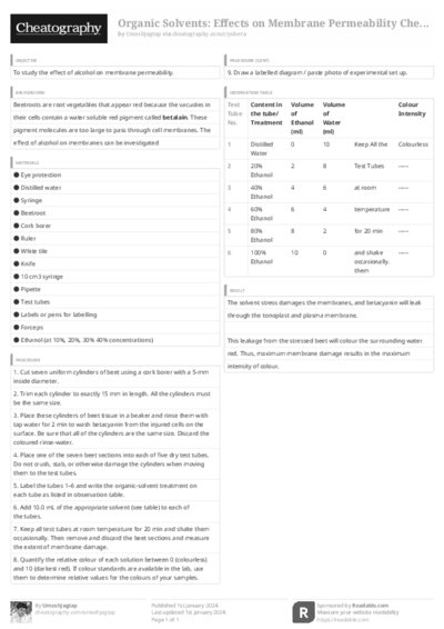 PDF (Black & white) — Style 3