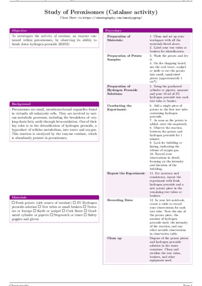 LaTeX (Compiled PDF)