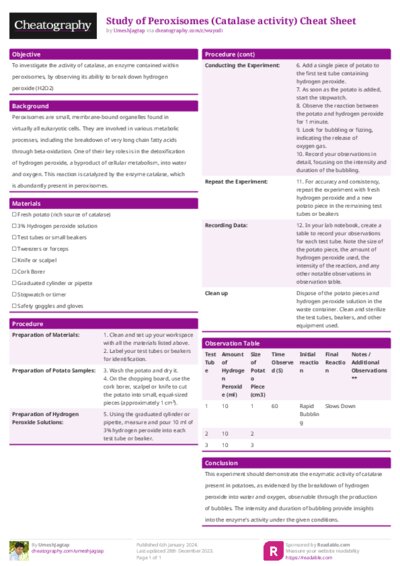 PDF (Colour) — Style 1