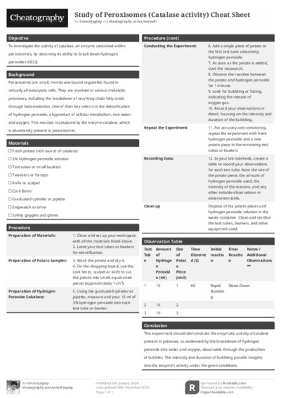 PDF (Black & white) — Style 1