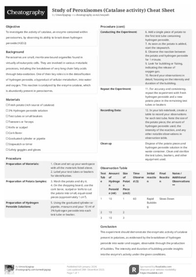 PDF (Black & white) — Style 2