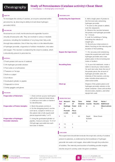 PDF (Colour) — Style 3