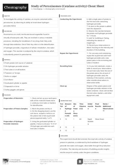 PDF (Black & white) — Style 3