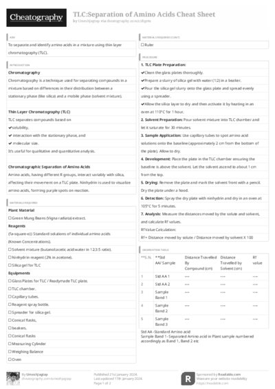 PDF (Black & white) — Style 3