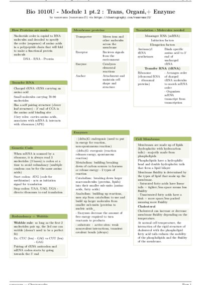 LaTeX (Compiled PDF)