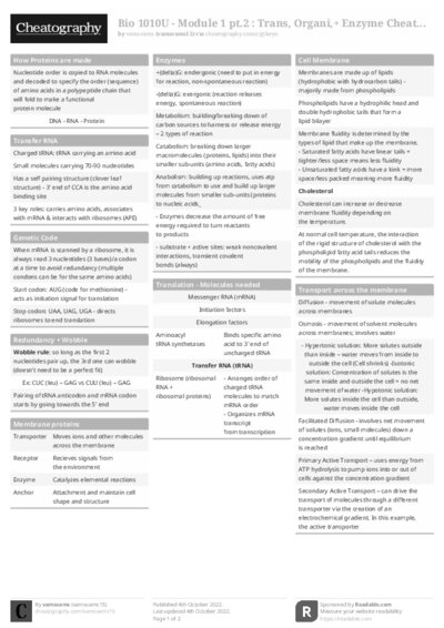 PDF (Black & white) — Style 1
