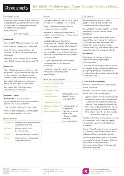 PDF (Colour) — Style 3