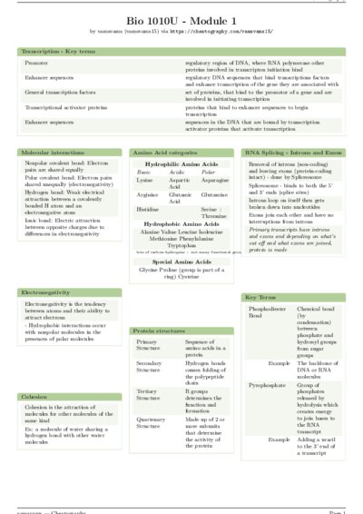 LaTeX (Compiled PDF)