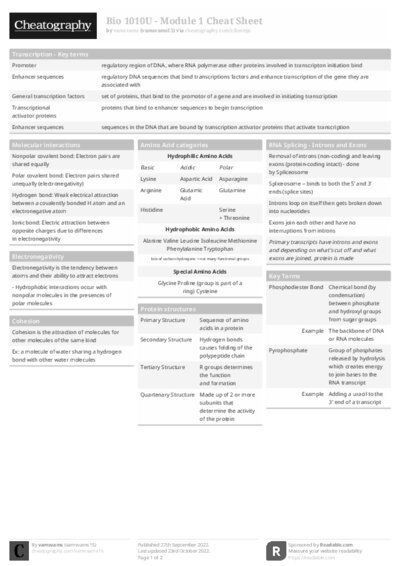 PDF (Black & white) — Style 1