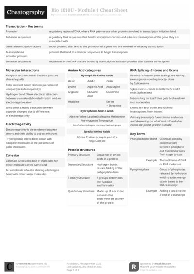 PDF (Black & white) — Style 2