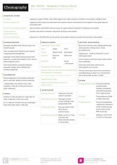 PDF (Colour) — Style 3