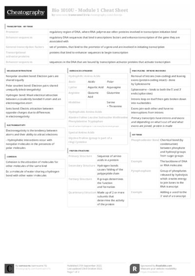 PDF (Black & white) — Style 3