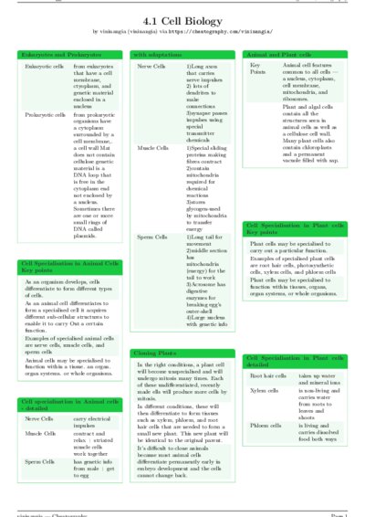 LaTeX (Compiled PDF)