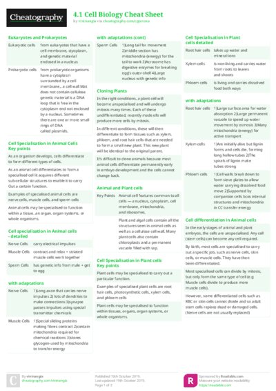 PDF (Colour) — Style 2