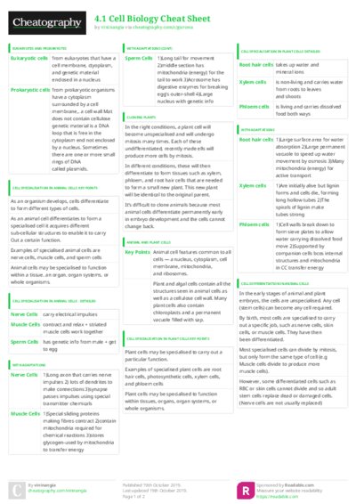 PDF (Colour) — Style 3