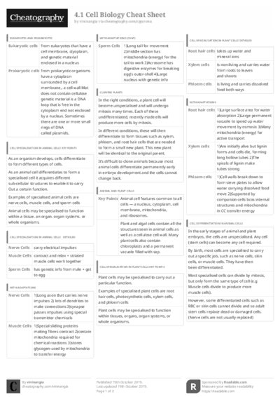 PDF (Black & white) — Style 3