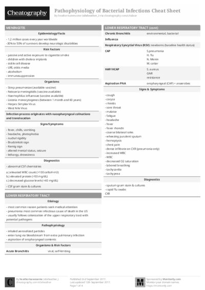 PDF (Black & white) — Style 1