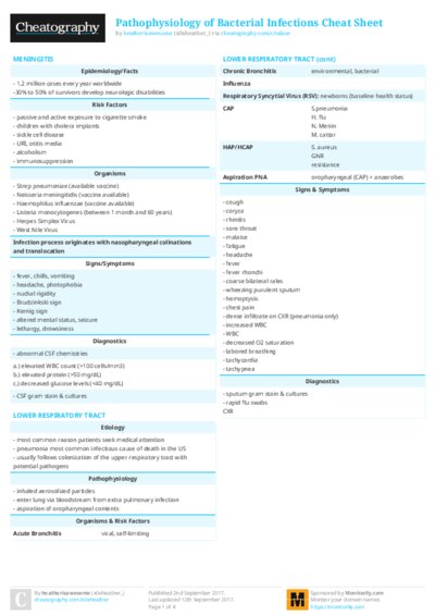PDF (Colour) — Style 2