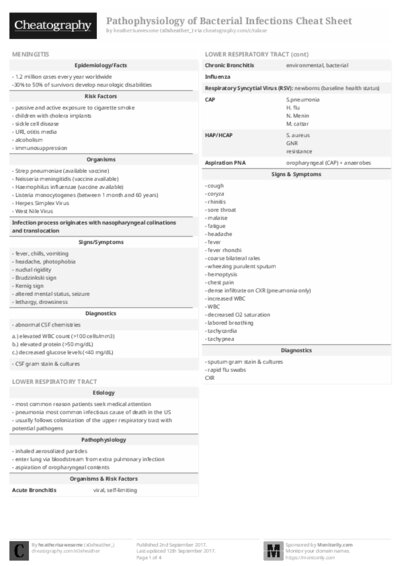 PDF (Black & white) — Style 2