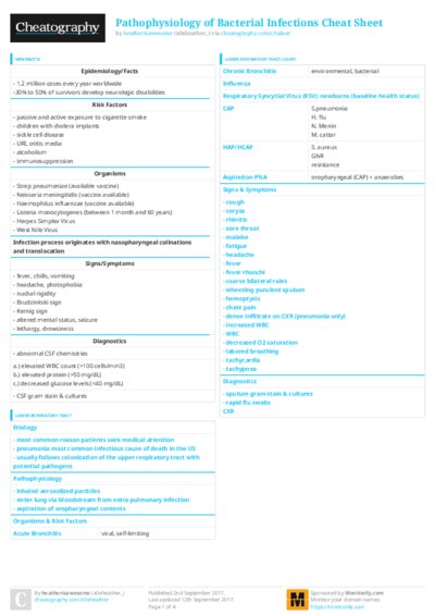 PDF (Colour) — Style 3