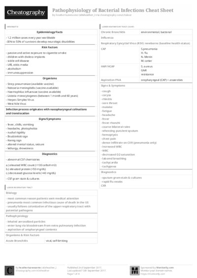 PDF (Black & white) — Style 3