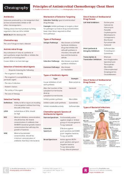 PDF (Colour) — Style 2