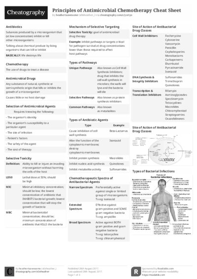 PDF (Black & white) — Style 2