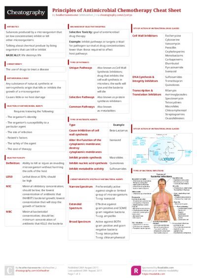 PDF (Colour) — Style 3