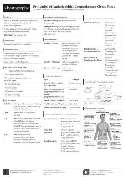 PDF (Black & white) — Style 3