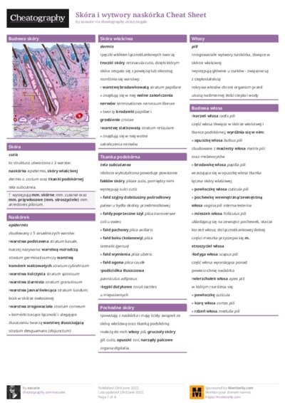 PDF (Colour) — Style 1