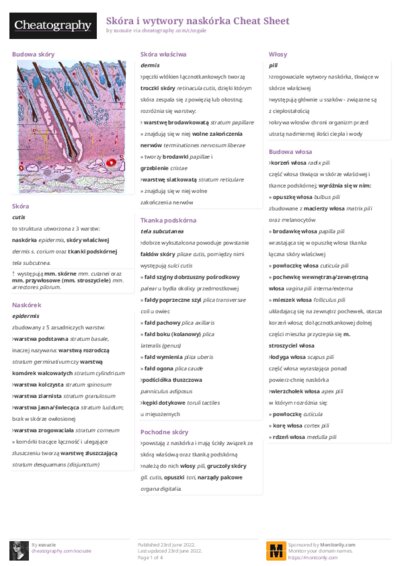 PDF (Colour) — Style 2