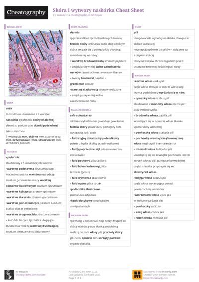 PDF (Colour) — Style 3