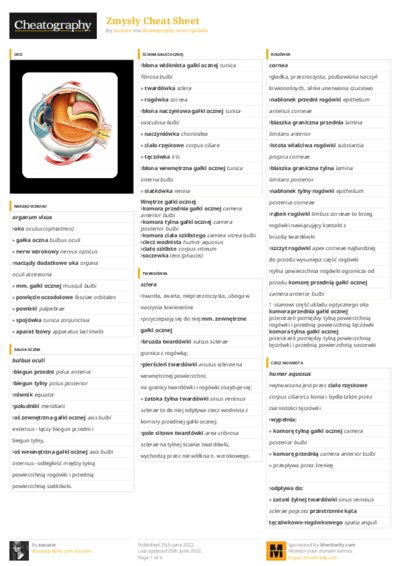 PDF (Colour) — Style 3