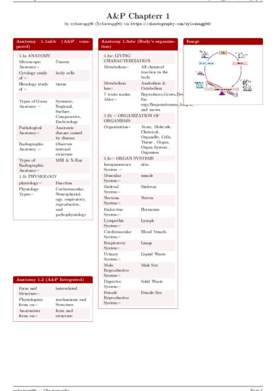 LaTeX (Compiled PDF)