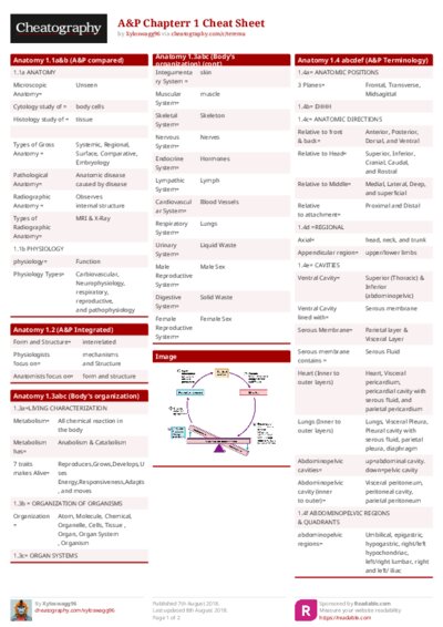PDF (Colour) — Style 1