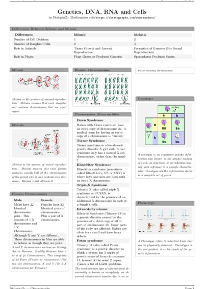 LaTeX (Compiled PDF)
