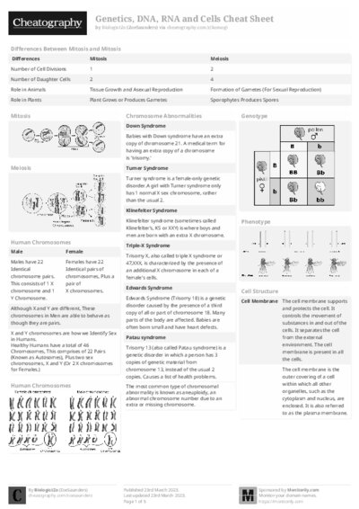 PDF (Black & white) — Style 2